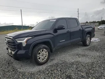 2025 Toyota Tundra 5TFLA5AB5SX046294 Lot 81824875