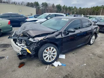 2019 Toyota Camry 4T1B11HK6KU262677 Lot 46819396