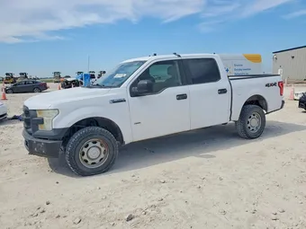 2015 Ford F-150 1FTEW1EG9FKE55104 Lot 53314196