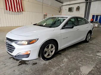2023 Chevrolet Malibu 1G1ZC5ST8PF127596 Lot 52946806