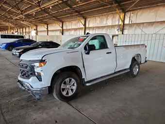 2025 Chevrolet Silverado 1500 3GCNAAED0SG373672 Lot 57159676
