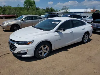 2019 Chevrolet Malibu 1G1ZB5ST6KF204610 Lot 51528936