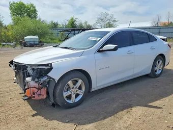 2021 Chevrolet Malibu 1G1ZC5ST5MF002227 Lot 54240456