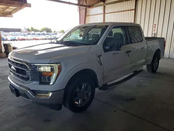 2023 Ford F-150 1FTEW1C53PFB28239 Lot 48820996