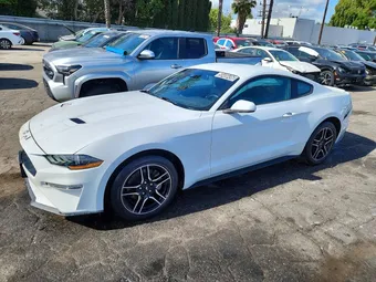 2023 Ford Mustang 1FA6P8TH0P5105131 Lot 50400496