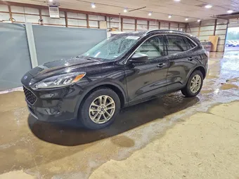 2022 Ford Escape 1FMCU0BZ8NUB07466 Lot 51202956