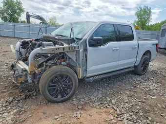 2025 Ford F-150 1FTEW3LP5SFA35969 Lot 52922806