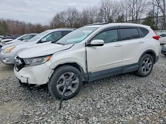2019 Honda CR-V 2HKRW2H58KH622594 Lot 41870116