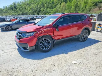 2020 Honda CR-V 5J6RW2H5XLL011599 Lot 50728846