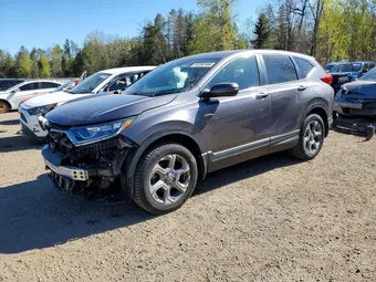 2019 Honda CR-V 2HKRW2H51KH126293 Lot 53282466
