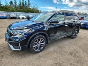 2020 Honda CR-V 2HKRW2H47LH219179 Lot 52783816