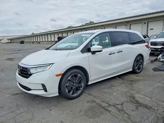 2024 Honda Odyssey 5FNRL6H94RB000747 Lot 51891436