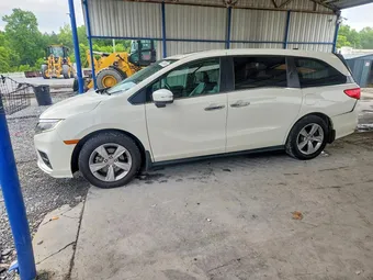 2019 Honda Odyssey 5FNRL6H72KB019768 Lot 54330846