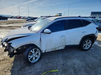 2023 Hyundai Tucson KM8JBCAE9PU202571 Lot 48249766