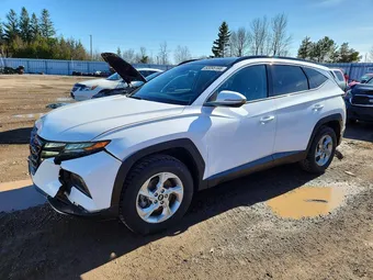 2022 Hyundai Tucson KM8JCCAE3NU123178 Lot 50095166