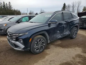 2026 Hyundai Tucson KM8JCDD16TU426872 Lot 46301466