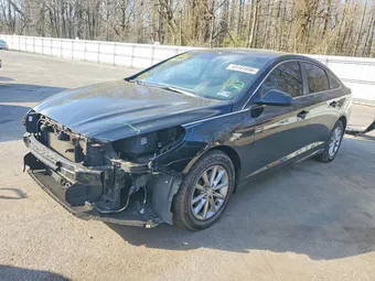 2019 Hyundai Sonata 5NPE24AF3KH742098 Lot 48141896