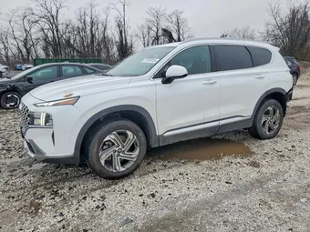 2022 Hyundai Santa Fe 5NMS2DAJ1NH390986 Lot 77767015