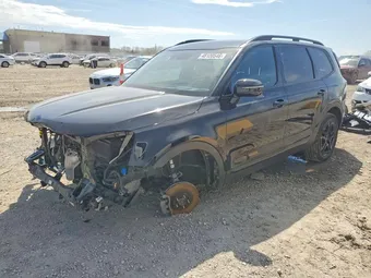 2024 Kia Telluride 5XYP5DGC4RG424375