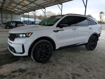 2023 Kia Sorento 5XYRKDLF2PG195841 Lot 79283475