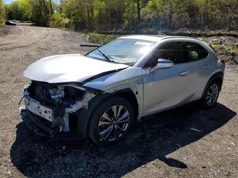 2019 Lexus UX 250H JTHU9JBH3K2013721