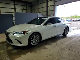 2019 Lexus ES 58ABZ1B16KU028248