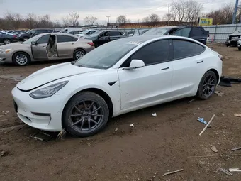 2020 Tesla Model 3 5YJ3E1EB4LF798183 Lot 46464876