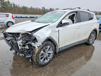 2016 Toyota RAV4 JTMRJREV6GD024299 Lot 48647906