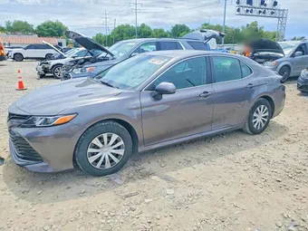 2019 Toyota Camry 4T1B31HK9KU516568 Lot 54067176