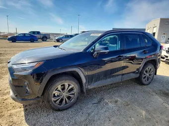 2025 Toyota RAV4 2T3RWRFV2SW286123 Lot 53650086