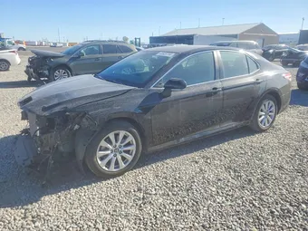 2020 Toyota Camry 4T1C11BK1LU006171 Lot 49939766