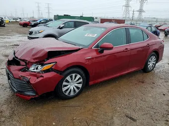 2021 Toyota Camry 4T1C31AKXMU031115 Lot 48121566