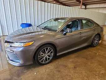2023 Toyota Camry 4T1F31AKXPU612843 Lot 53573896