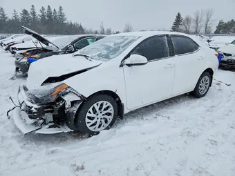 2019 Toyota Corolla 2T1BURHE9KC219940 Lot 74573195