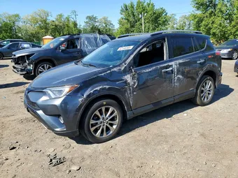2016 Toyota RAV4 JTMDJREV0GD039052 Lot 52146566
