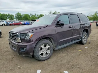 2019 Toyota Sequoia 5TDBY5G17KS173012