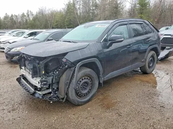 2025 Toyota RAV4 2T3RWRFV2SW284016 Lot 49798956