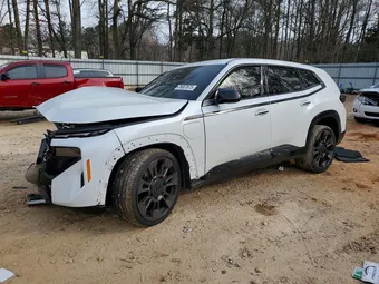 2025 BMW XM 5YM23CS07S9X65579