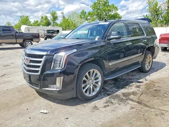 2019 Cadillac Escalade 1GYS4BKJ2KR198734 Lot 52415356