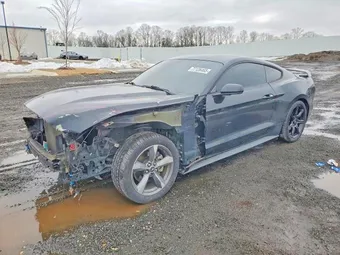 2016 Ford Mustang 1FA6P8AM1G5259217 Lot 77126465