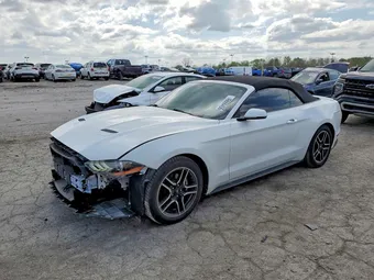 2019 Ford Mustang 1FATP8UH3K5149053 Lot 49666456