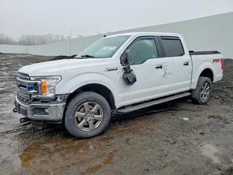 2020 Ford F-150 1FTEW1E57LKE01889 Lot 76533775