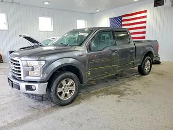 2017 Ford F-150 1FTFW1EG8HFA43675 Lot 53616926