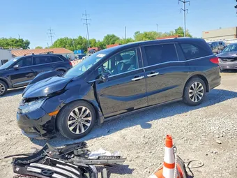 2023 Honda Odyssey 5FNRL6H62PB018750 Lot 52653736