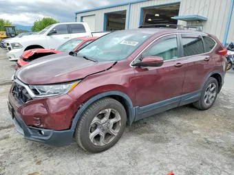 2019 Honda CR-V 7FARW2H84KE057466 Lot 53298256