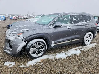 2020 Hyundai Santa Fe 5NMS5CAA5LH177019 Lot 49667846