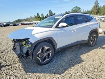 2024 Hyundai Tucson KM8JCCD16RU142919 Lot 53762036