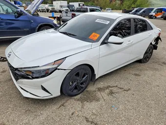 2023 Hyundai Elantra 5NPLM4AG1PH087456 Lot 48548606