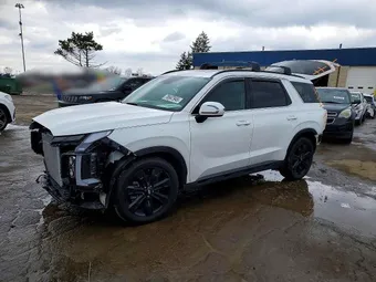 2024 Hyundai Palisade KM8R3DGE1RU744814