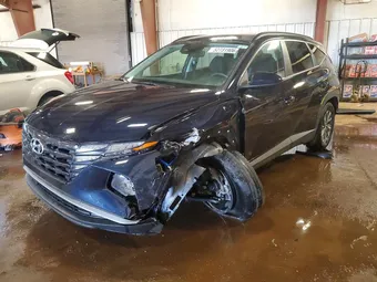 2024 Hyundai Tucson KM8JBCD17RU159070 Lot 52731906